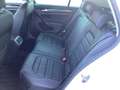 Volkswagen Golf VII 1.5 TSI Highline ACC LED Leder Kamera Weiß - thumbnail 9
