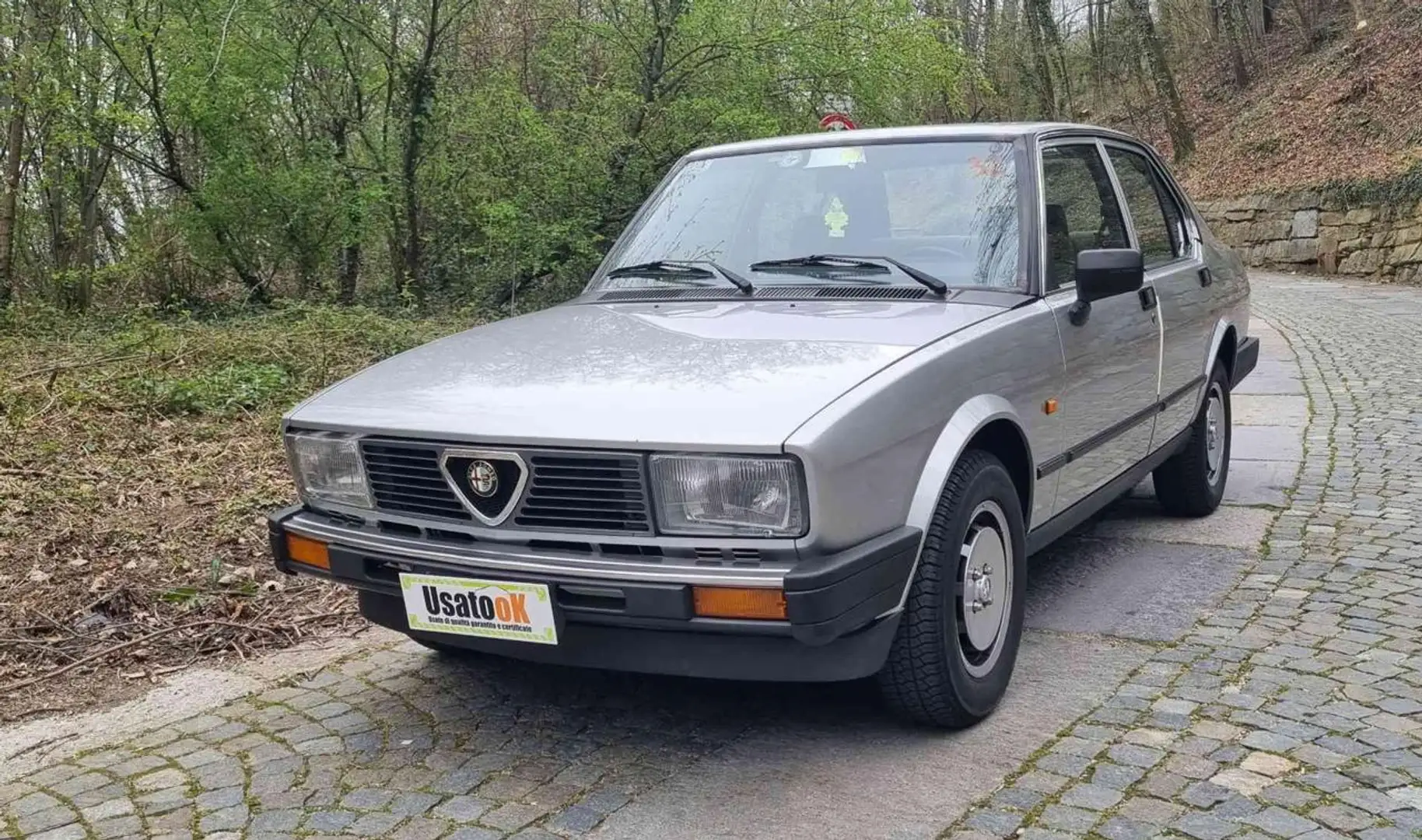 Alfa Romeo Alfetta 1.8 Srebrny - 2