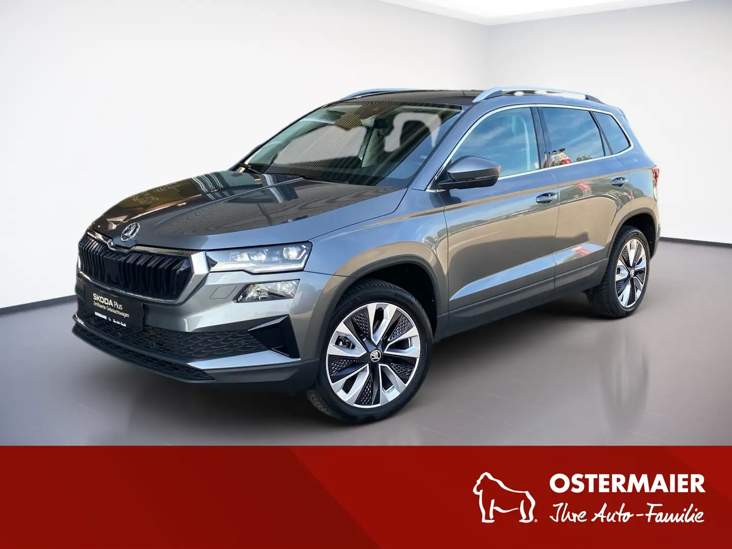 Skoda Karoq SELECTION 1.5TSI DSG MATRIX.AHK.WINTERP. Grau - 1