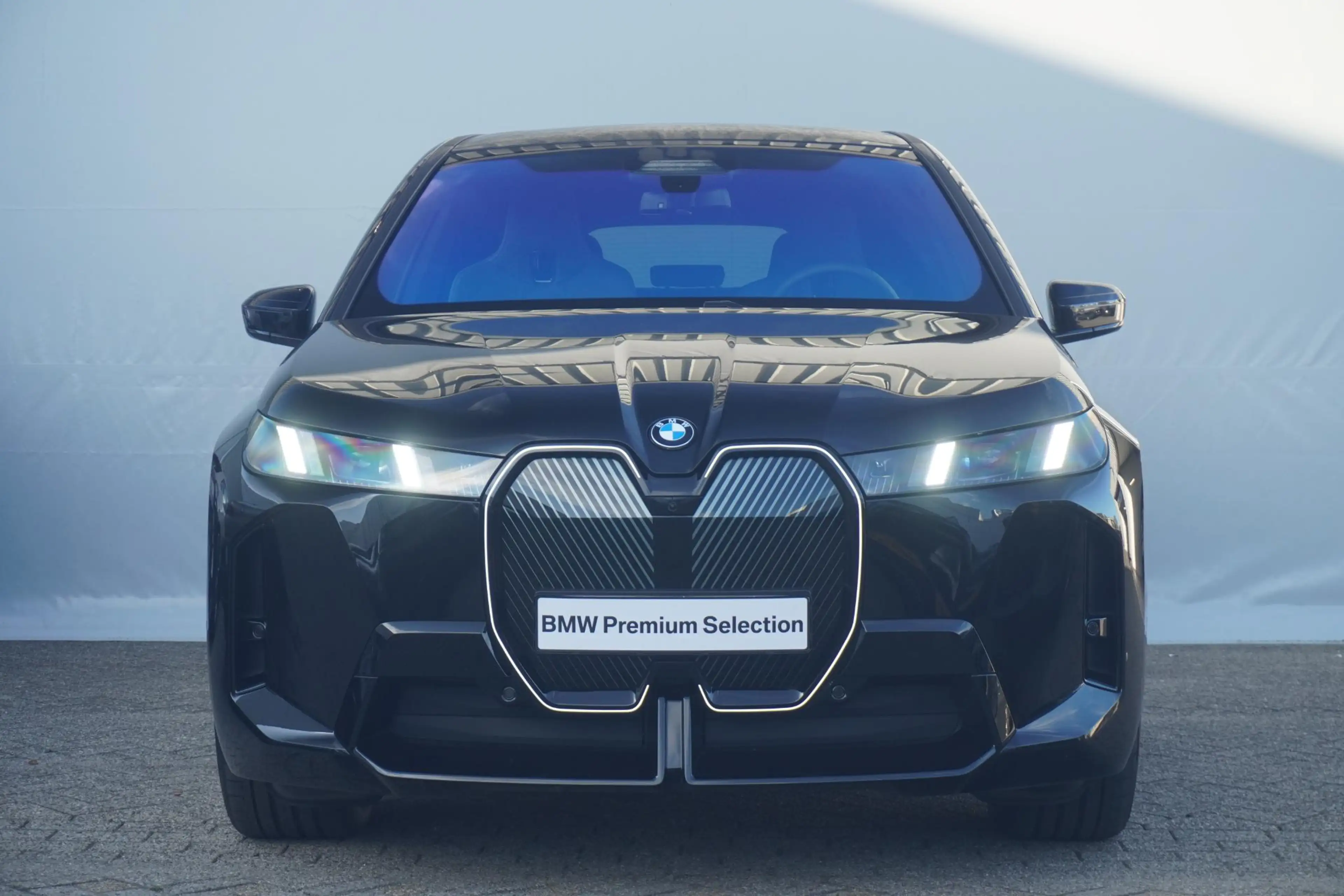 BMW iX xDrive45 | M Sportpakket | Panoramadak Sky Lounge — photo 5