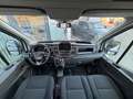 Ford Transit Pritsche DoKa 2,0 EcoBlue L2H1 350 Trend Weiß - thumbnail 8