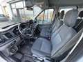 Ford Transit Pritsche DoKa 2,0 EcoBlue L2H1 350 Trend Weiß - thumbnail 6