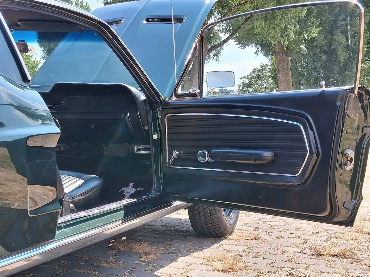 Ford Mustang Bild 12