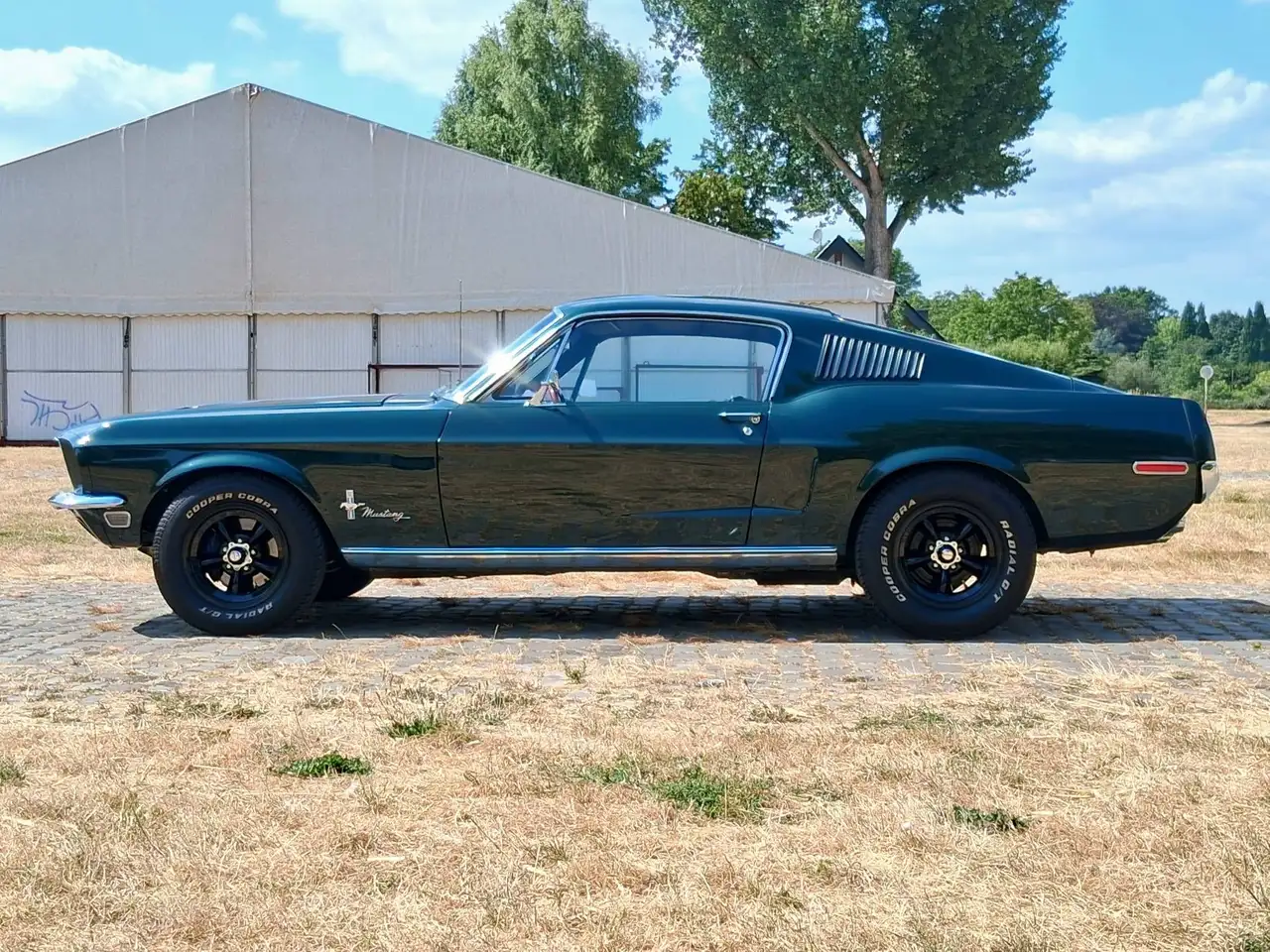 Ford Mustang Bild 7