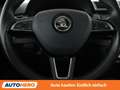 Skoda Fabia 1.0 TSI Style Grau - thumbnail 19