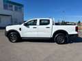 Ford Ranger Doppelkabine XL 4x4 2,0 EcoBlue Weiß - thumbnail 8