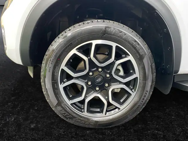 Ford Ranger Wildtrak 2,0L *inkl. Rollo* 20 Zoll Ansicht 15