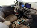 Ford Kuga 2.5 PHEV ST-Line Panorama Dak / Trekhaak / Camera Grijs - thumbnail 4