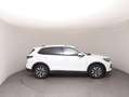 Volkswagen Tiguan Friends eTSI DSG Weiß - thumbnail 25