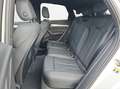 Audi Q5 Sportback 40 TDI quattro S tronic S line ACC Le... Weiß - thumbnail 12