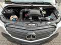 Mercedes-Benz Sprinter 314 BlueTEC 9Sitze+Rollstuhllift Klima Weiß - thumbnail 34