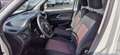 Fiat Doblo cargo 1.3 mjt 16v 90cv E5+ F.L. Bianco - thumbnail 10
