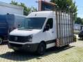 Volkswagen Crafter 2.0 TDI/L2/H2/KLIMA/Temp/Glasref/TOP Alb - thumbnail 2