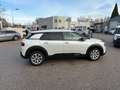 Citroen C4 Cactus PureTech 110 S&S Origins Weiß - thumbnail 4