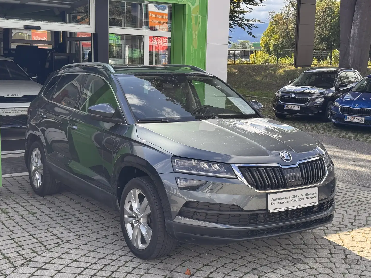 Skoda Karoq Style 4x4 Grau - 2