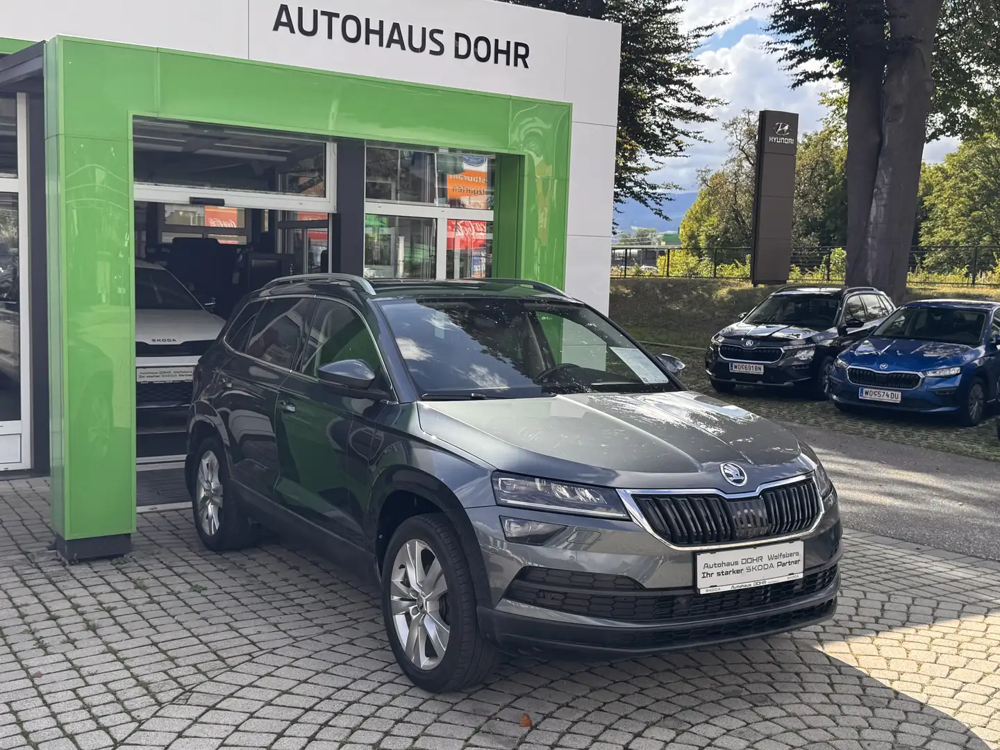 Skoda Karoq Style 4x4 Grau - 1