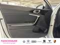 Kia Ceed / cee'd Vision 1.5 T-GDI Navi+Kamera+SHZ+GRA+App-connect Weiß - thumbnail 12