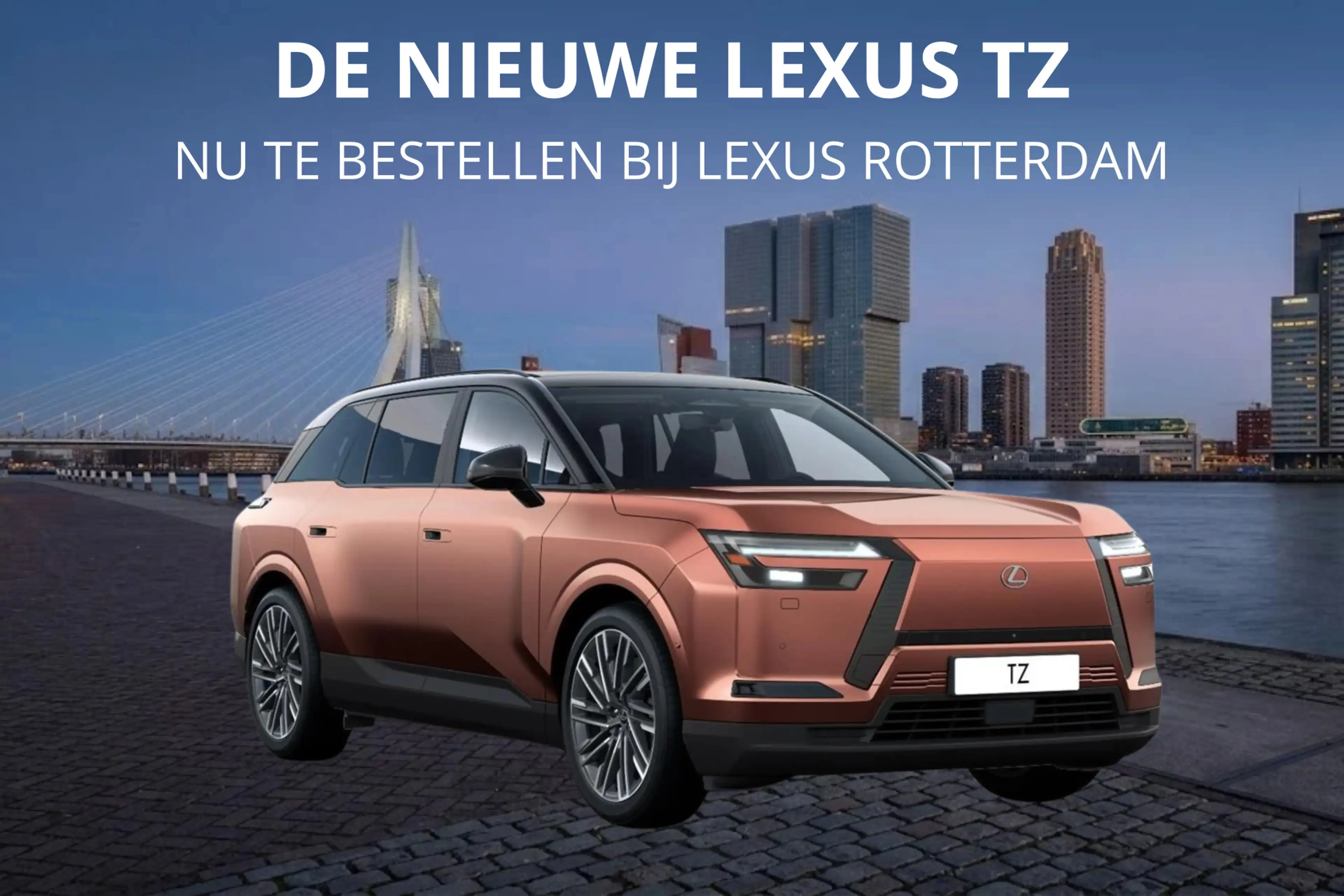 Lexus Others TZ 550e President Line 95,8 kWh | Mark Levinson | — photo 7