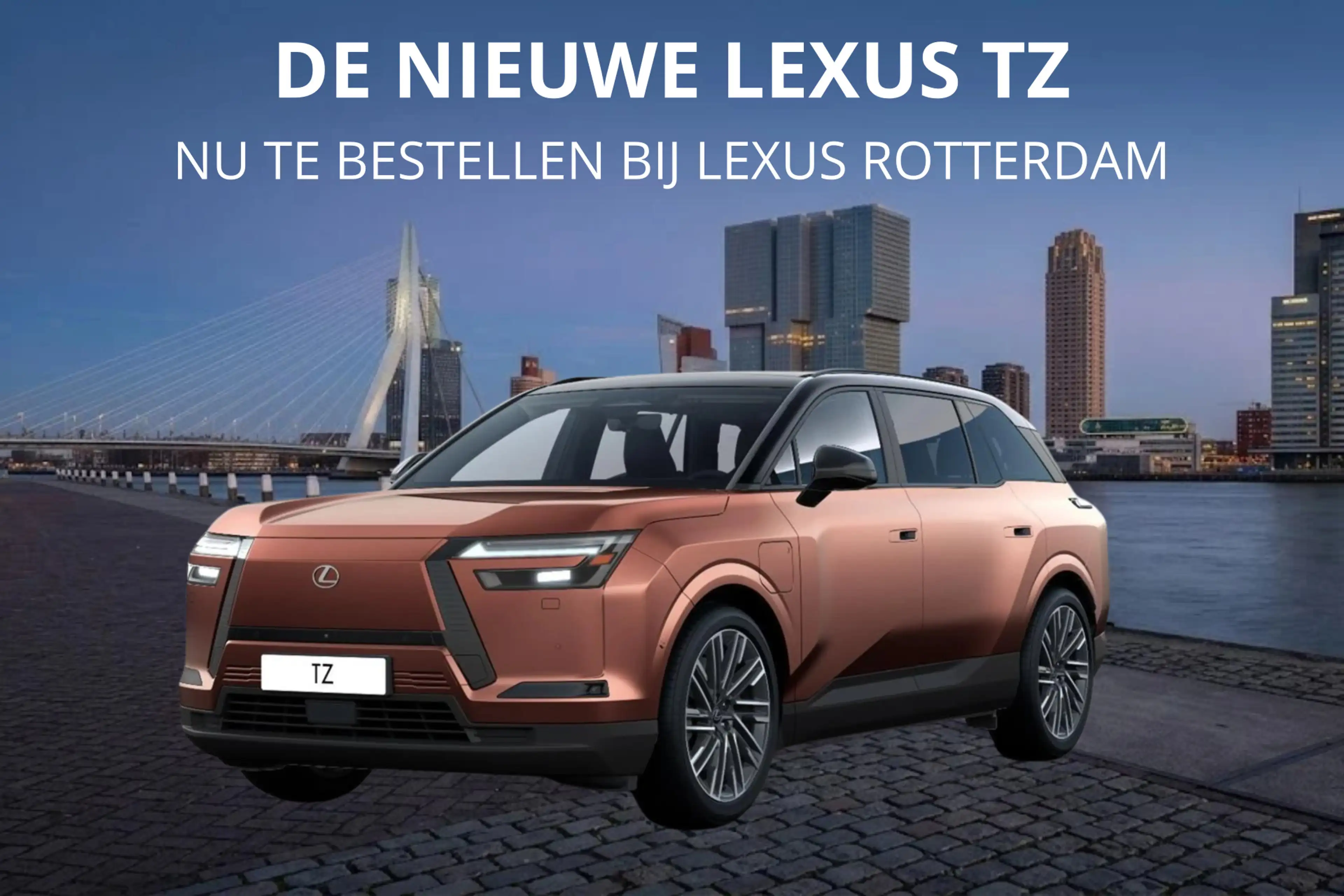 Lexus Others TZ 550e President Line 95,8 kWh | Mark Levinson |