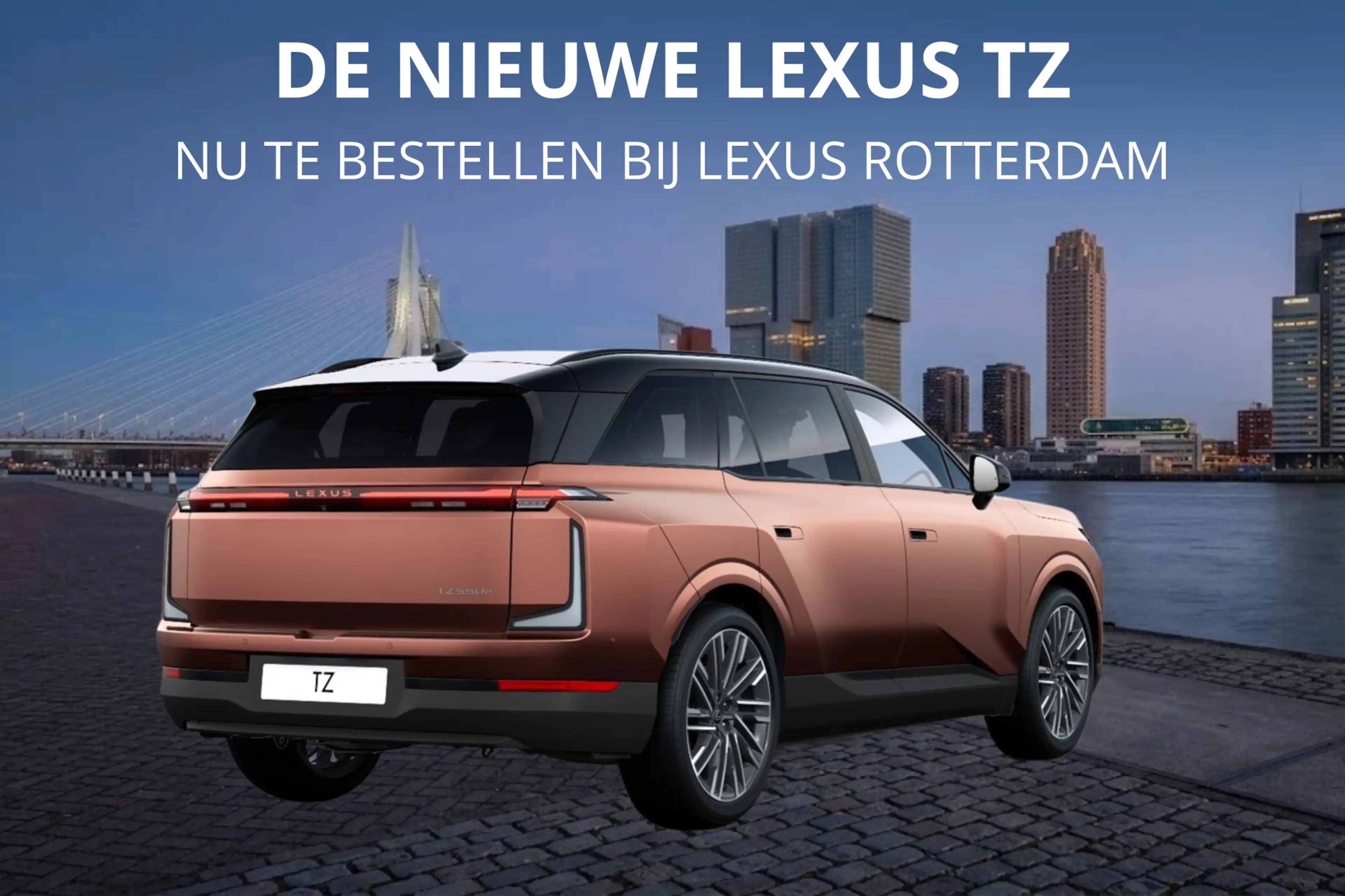 Lexus Others TZ 550e President Line 95,8 kWh | Mark Levinson | — photo 5