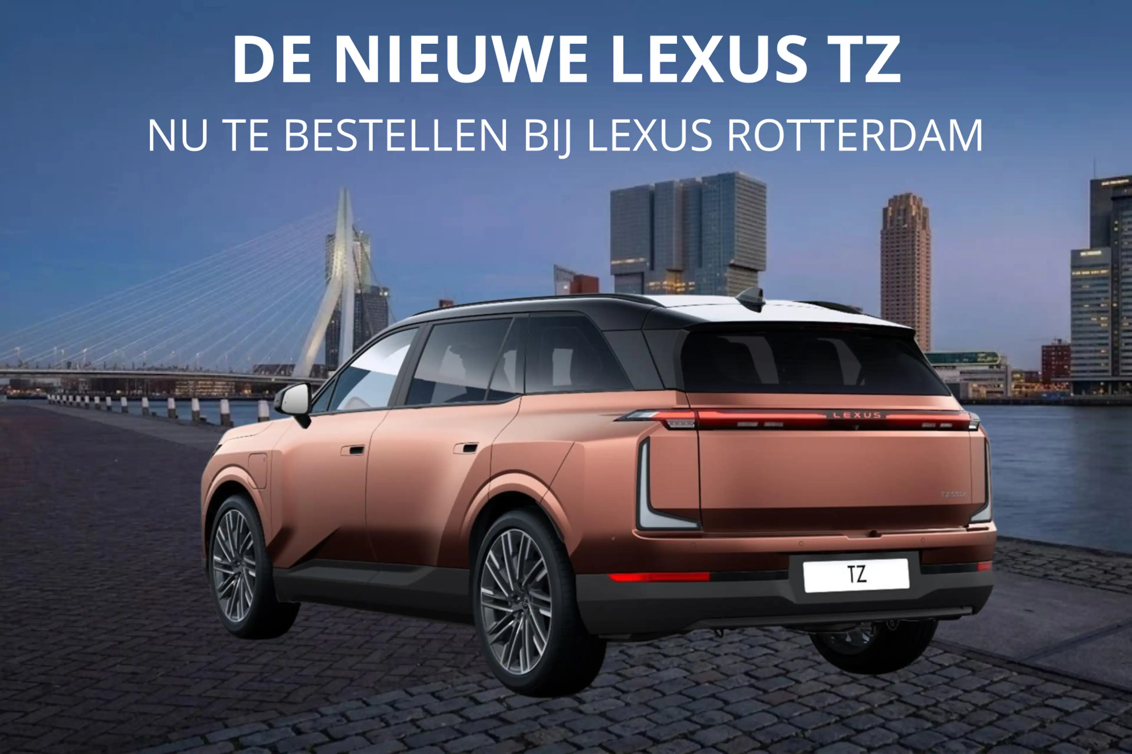 Lexus Others TZ 550e President Line 95,8 kWh | Mark Levinson | — photo 3