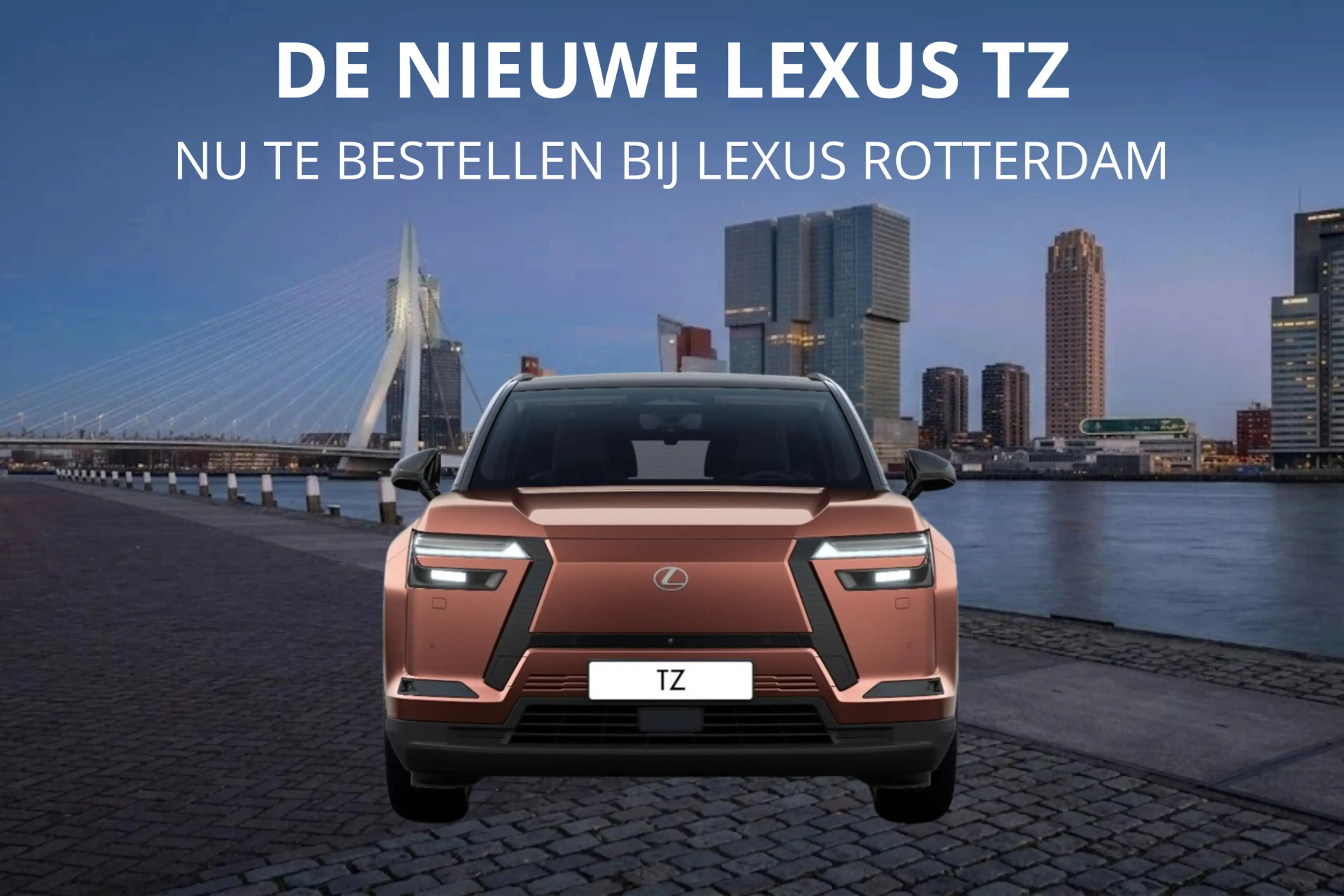 Lexus Others TZ 550e President Line 95,8 kWh | Mark Levinson | — photo 8
