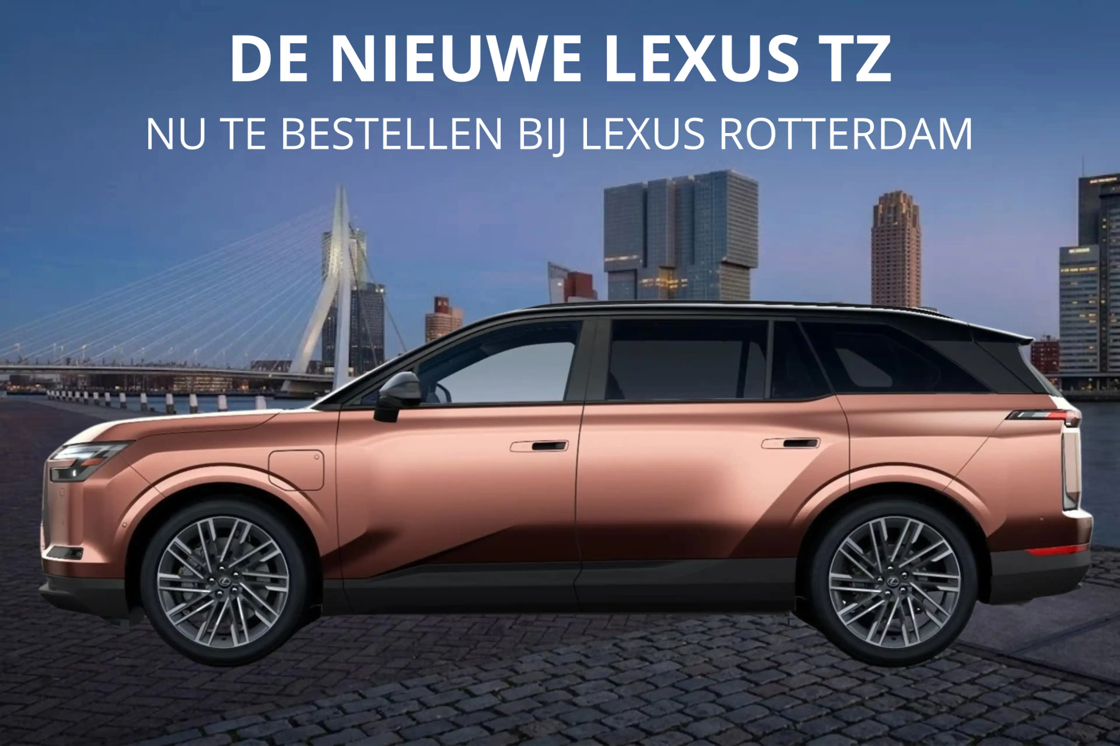 Lexus Others TZ 550e President Line 95,8 kWh | Mark Levinson | — photo 2