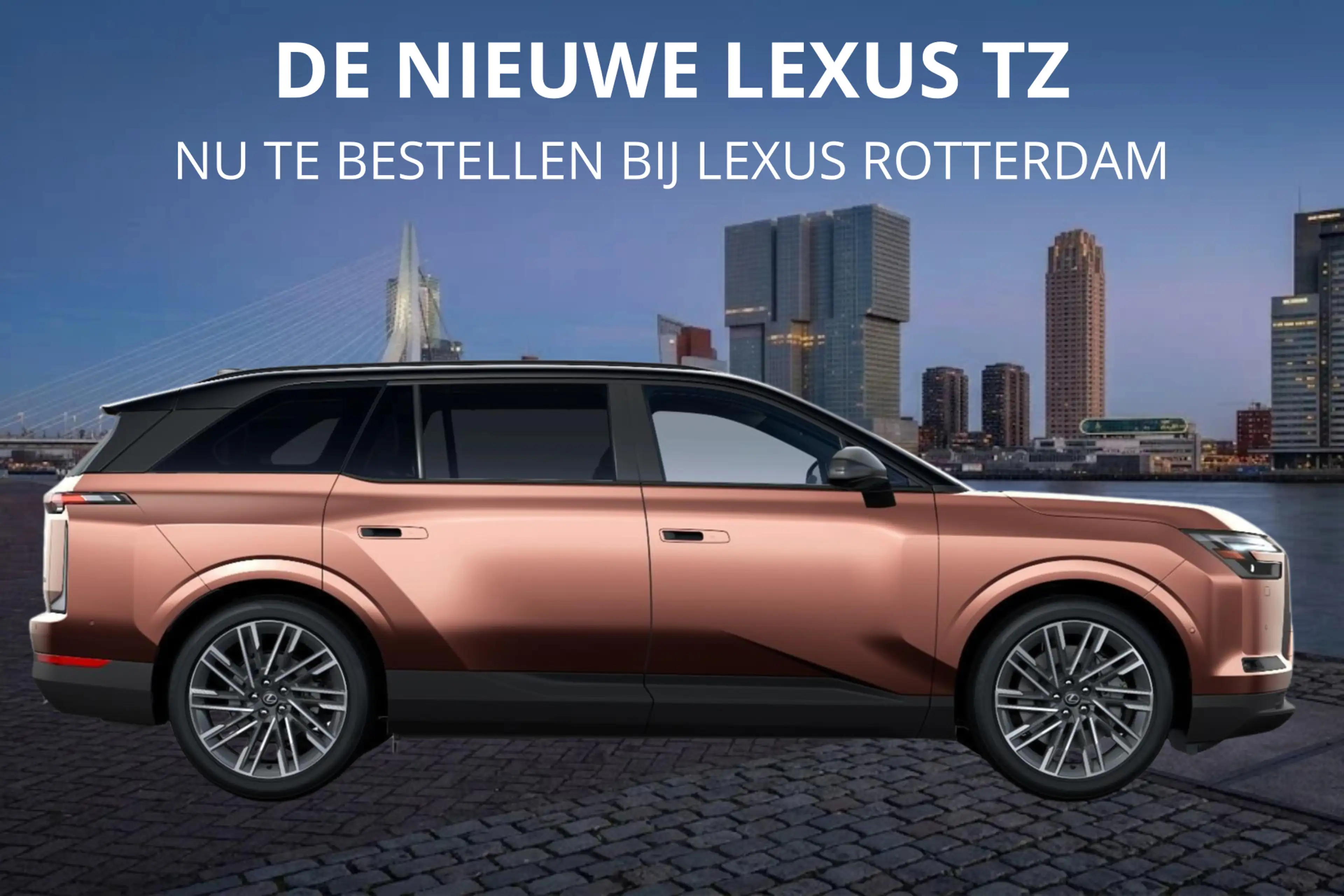 Lexus Others TZ 550e President Line 95,8 kWh | Mark Levinson | — photo 6