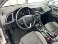 SEAT Leon ST X-Perience RFK NAVI KLIMA MFL SHZ TEMPO Weiß - thumbnail 14