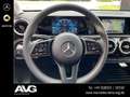 Mercedes-Benz A 250 A 250 e KL NAVI/RFK/SHZ/SPP/LED/TEMPO/MBUX/AFA Gris - thumbnail 10