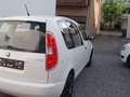 Skoda Roomster Active Plus Edition Bianco - thumbnail 5