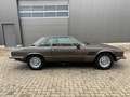 De Tomaso Longchamp 892/B Braun - thumbnail 7