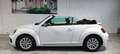 Volkswagen Maggiolino Maggiolino Cabrio 2.0 TDI Design BlueMotion Techno Bianco - thumbnail 4