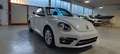 Volkswagen Maggiolino Maggiolino Cabrio 2.0 TDI Design BlueMotion Techno Bianco - thumbnail 5
