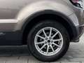 Land Rover Range Rover Evoque Coupe SD4 Pure Automatik Braun - thumbnail 9
