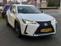 Lexus UX 250h Business Line Plus | Stoel + Stuurverwarming, Appl Blanc - thumbnail 5