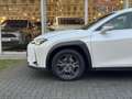 Lexus UX 250h Business Line Plus | Stoel + Stuurverwarming, Appl Blanc - thumbnail 9