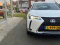 Lexus UX 250h Business Line Plus | Stoel + Stuurverwarming, Appl Blanc - thumbnail 7
