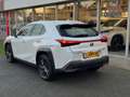 Lexus UX 250h Business Line Plus | Stoel + Stuurverwarming, Appl Blanc - thumbnail 3