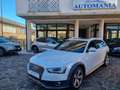 Audi A4 allroad A4 Allroad 2.0 tdi Business Plus 190cv s-tronic Bianco - thumbnail 1
