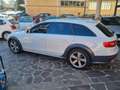 Audi A4 allroad A4 Allroad 2.0 tdi Business Plus 190cv s-tronic Bianco - thumbnail 7