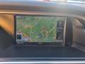 Audi A4 allroad A4 Allroad 2.0 tdi Business Plus 190cv s-tronic Bianco - thumbnail 13