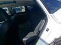 Hyundai TUCSON 48V Prestige Line DCT Weiß - thumbnail 13