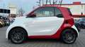 smart forTwo Cabrio TURBO DCT BRABUS! FOX! 17ZOLL! CARPLAY! Weiß - thumbnail 5