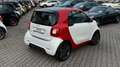 smart forTwo Cabrio TURBO DCT BRABUS! FOX! 17ZOLL! CARPLAY! Weiß - thumbnail 18