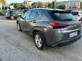 Lexus UX 200 UX 2019 250h 2.0 Business 2wd cvt my20 Gris - thumbnail 7