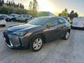 Lexus UX 200 UX 2019 250h 2.0 Business 2wd cvt my20 Gris - thumbnail 8