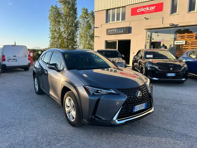 Lexus UX 200 UX 2019 250h 2.0 Business 2wd cvt my20