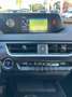Lexus UX 200 UX 2019 250h 2.0 Business 2wd cvt my20 Gris - thumbnail 15