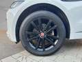 Jaguar F-Pace R-Sport AWD 3.0 V6 Diesel KAT #NAVI White - thumbnail 9